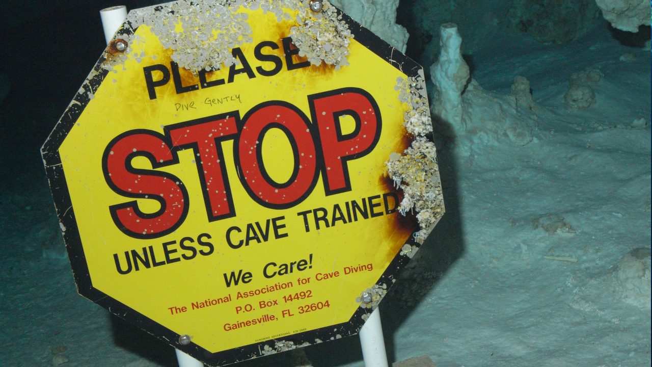 Tauchausflüge Cave Camp - Tauchausflug Höhlentauchen Mexiko Yucatan Halbinsel - Cenoten Tauchen